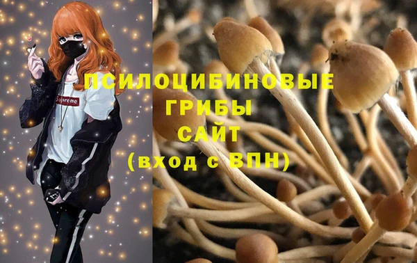 ALPHA PVP Михайловск