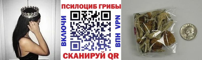 блэк спрут рабочий сайт  Звенигово  Галлюциногенные грибы прущие грибы  наркота 