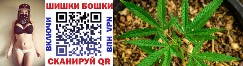 Конопля SATIVA & INDICA  маркетплейс какой сайт  Звенигово 